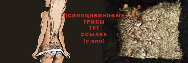 гидра Кулебаки