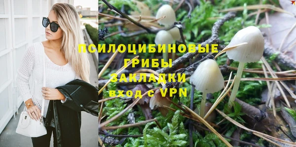 стафф Куйбышев
