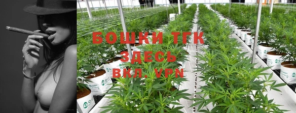 гидра Кулебаки
