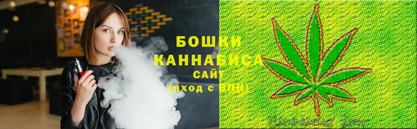 гидра Кулебаки
