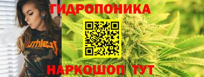 гидропоника Дубна