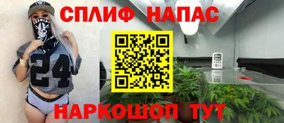 гидропоника Дубна