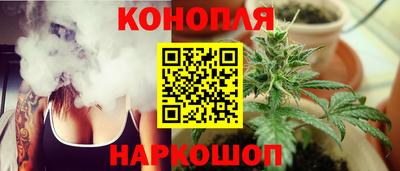 гидропоника Дубна
