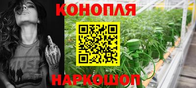 гидропоника Дубна