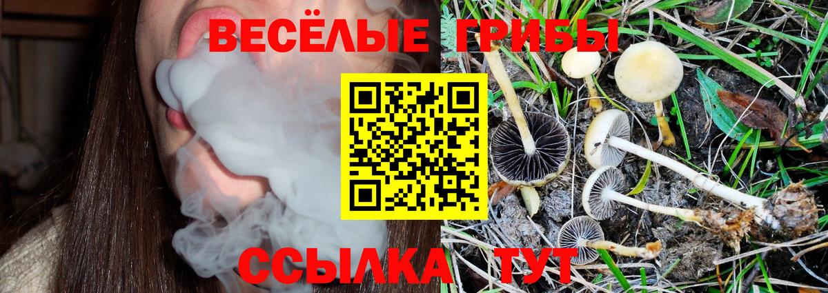 Псилоцибиновые грибы прущие грибы Йошкар-Ола