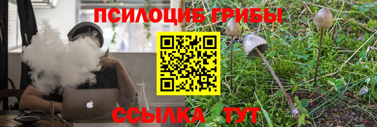 Галлюциногенные грибы Cubensis  где купить   Йошкар-Ола  Вход с VPN 