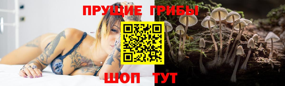 Псилоцибиновые грибы мицелий  Йошкар-Ола  Галлюциногенные грибы MAGIC MUSHROOMS 