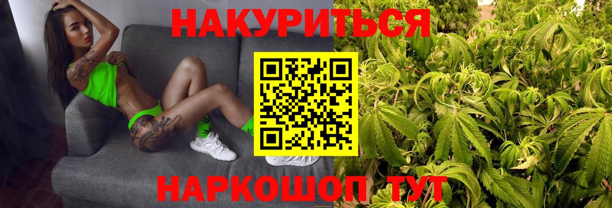 Бошки Шишки конопля  Вход с VPN  Йошкар-Ола  Шишки марихуана гибрид 